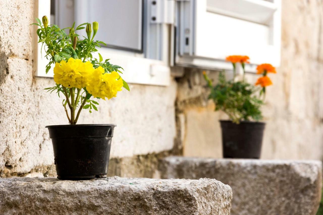 Aida Apartments Downtown Split Zewnętrze zdjęcie